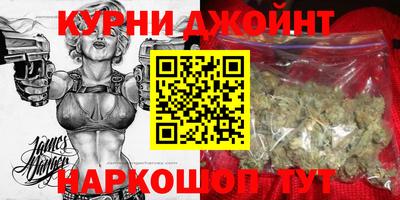 гидра Гусев
