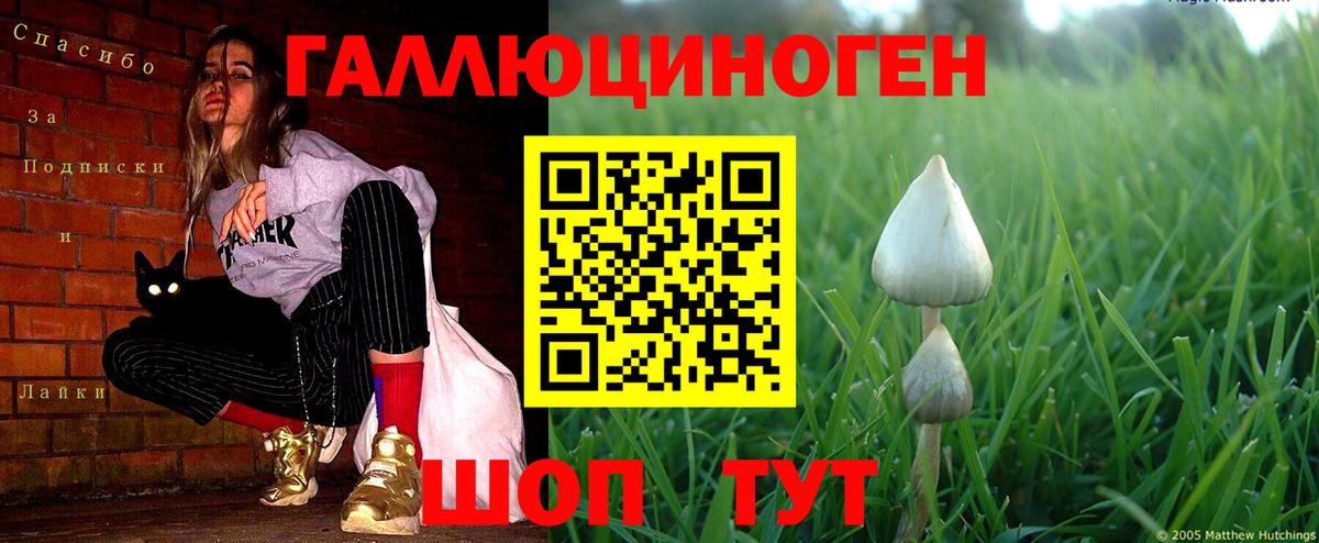 Псилоцибиновые грибы Psilocybine cubensis  Вход с VPN  Миасс  Галлюциногенные грибы Psilocybe 